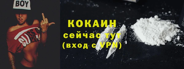 соль ск Кукмор