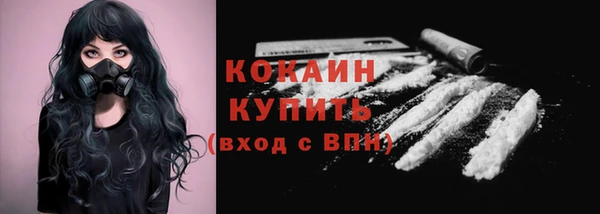 соль ск Кукмор