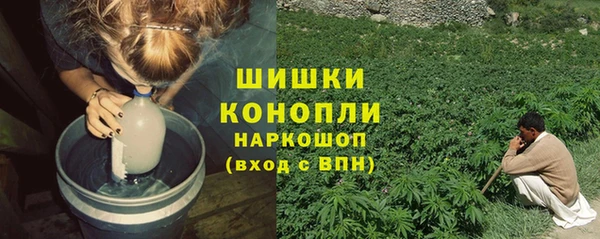 ГАЛЛЮЦИНОГЕННЫЕ ГРИБЫ Кулебаки