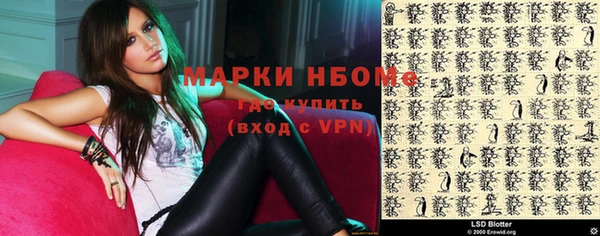 шишки Билибино