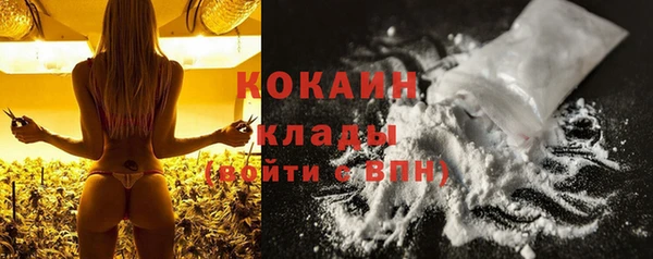 соль ск Кукмор