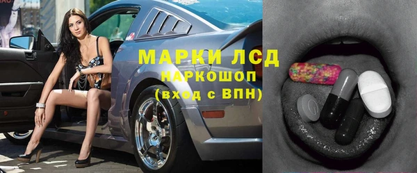соль ск Кукмор