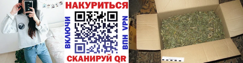 где продают наркотики  Нерчинск  маркетплейс Telegram  Шишки марихуана сатива  гидра сайт 